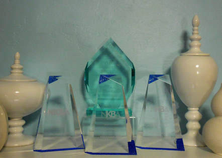 NKBA Star Design Award Winner